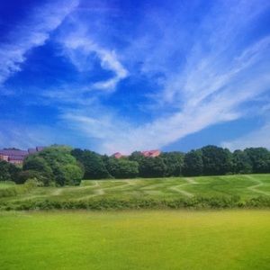 Meet your Posher, Leticia